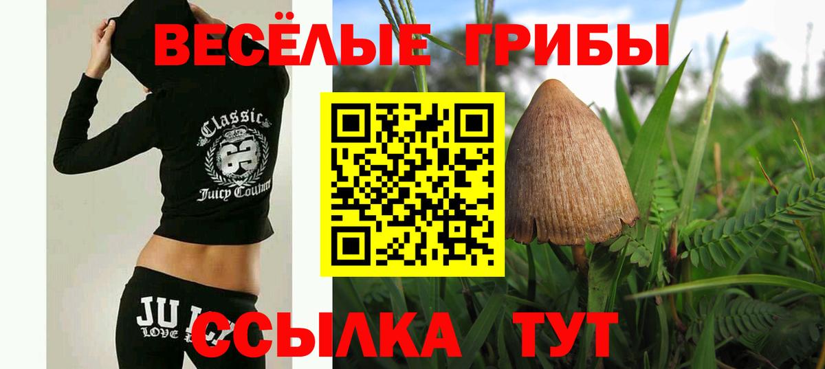 Муравленко  Псилоцибиновые грибы ЛСД  Вход с VPN 
